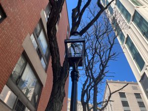 Pilot of retrofitted electric street light at 212 Stuart St. in Bay Village.